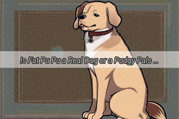 Is Fat Pu Pu a Real Dog or a Pudgy Pals in Disguise